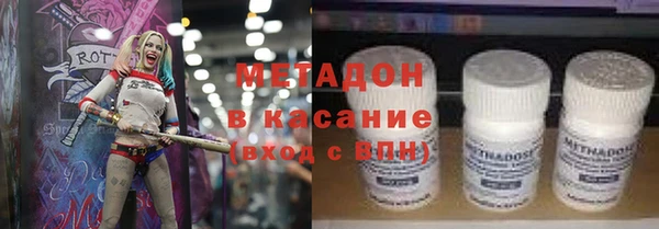 прущие грибы Дмитровск