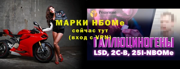 прущие грибы Дмитровск