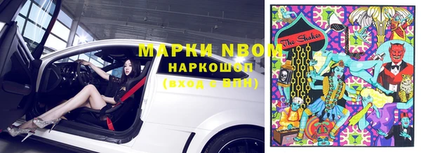 прущие грибы Дмитровск