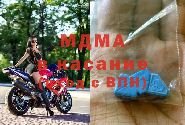 прущие грибы Дмитровск