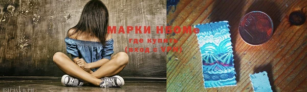 прущие грибы Дмитровск