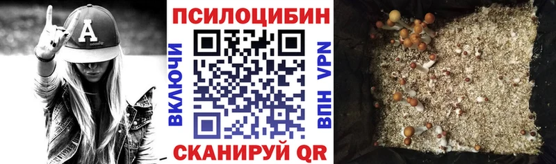 Псилоцибиновые грибы прущие грибы  где купить наркоту  KRAKEN ТОР  Озёры 